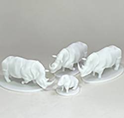 Small Rhino Herd